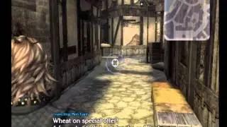 Lets Play The Last Story (English/USA) - Ep 5: Searching the town for items and wheat :'(
