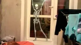 Анимация