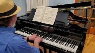 Chopin - Prelude No 6 in B Minor, Op 28