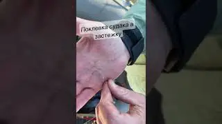 Что бывает, когда застежка попадает на клык судака