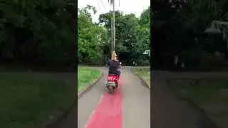 smart cat ___ قطة تصعد فوق رأس مالكها