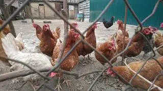 Состояние пасеки на конец Января