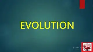 VIDEO ON EVOLUTION (1)