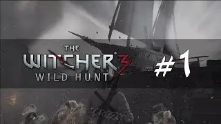 Lets Play The Witcher 3 Wild Hunt ► Part 1 ► Deadly Horses? (Gameplay, Walkthrough)