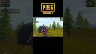M4 + M24 Combination 😎 