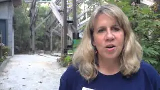 AUSome Amphibians and Reptiles :: Auburn University's Louise Kreher Ecology Preserve
