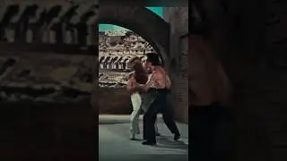 Chuck Norris vs Bruce Lee