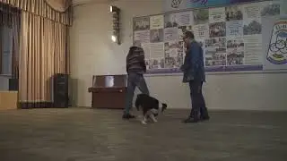 Шайхуллина Наилья Кутдусовна