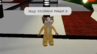 СТАЛА КОТЁНКОМ В БРУКХЕЙВЕН РП| *ЭТО ТРЕШ* | Аляша