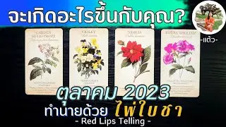 Pick A Card : จะเกิดอะไรขึ้นกับคุณ? เดือนตุลาคม 2023 [ ใช้ไพ่ใบชาทำนาย ]