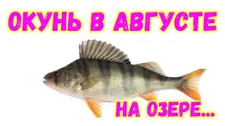 Микроджиг с лодки. Ловля на спининг...