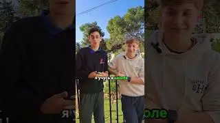 Отзыв  о школе "Ор Авнер" Кфар Ситрин (наале 2024)