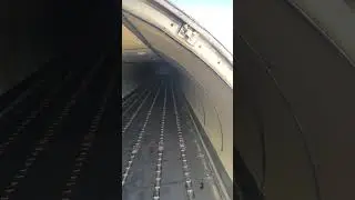 Cargo bay of airplane ✈️#aviations #757 #plane #aviationlovers