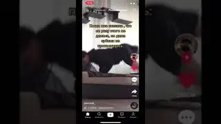 Орууу😂😂😂😂