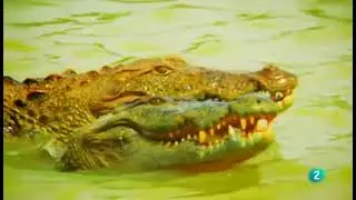 Sri Lanka: La Isla de los Monzones - (DOCUMENTAL)