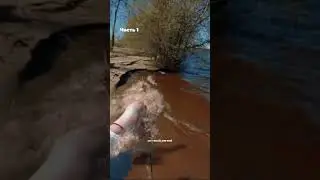 Прогулка у реки, что можно найти (как прошел первый стрим)
