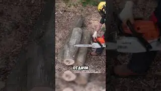 How to avoid kickback when using a chainsaw! 😨 