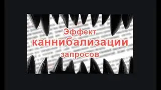 Как избежать канибализации запросов в SEO 2020 (Сайт не растет)