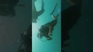спустя шесть лет после первого погружения я снова плавала как рыбка🐟😍 