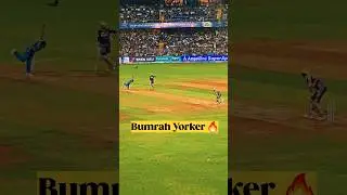 Mitchell Starc Bowled by Jasprit Bumrah 🔥#rizwanali #cricket #shorts #cricketshorts #mumbai #ipl2024