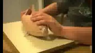 Sculpting a Shark out of Clay