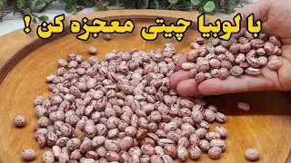 فقط با ۱ پیمانه لوبیا غذایی درست کن که از طعمش شگفت زده میشی/غذای گیاهی و سنتی ایرانی