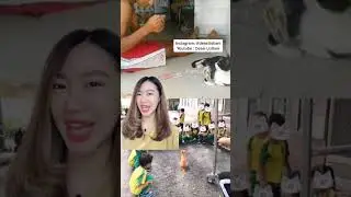 6 TINGKAH LAKU YANG NYELENEH BARENG MANUSIA