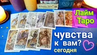 Его чувства ко мне сегодня ⁉️ Таро |Таро гадание онлайн | Лайм Таро 