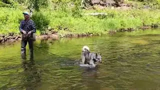 Рыбалка на лесной речке