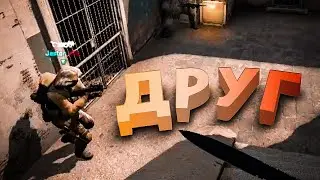 Дружеские похождения (CS:GO)