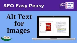 Alt Text for Images: Why You Need It & How to Do It