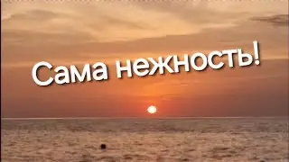 Моя любовь - Светлана Засидкевич