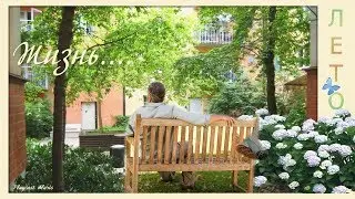 Олег Митяев - 