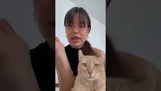#cat