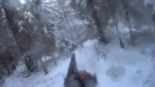 Архив. Охота РЕЛ Таир (5л) ЗСЛ Хан (4г) взяли молодого Секачика