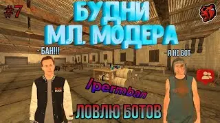 БУДНИ МЛАДШЕГО МОДЕРАТОРА БАНЮ БОТОВ •|• БЛЕК РАША #7