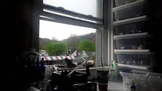 Freaking Predicted A Bird Landing