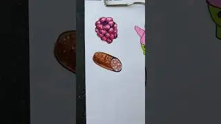 КОПЧЕНАЯ КОЛБАСА