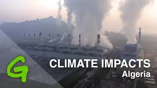 Climate change impacts in the Middle East & North Africa - Greenpeace MENA - Algeria