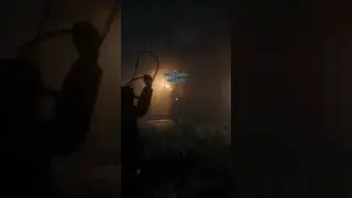 RDR2 Online Shenanigans