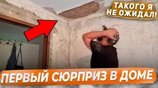 6️⃣✔️РЕМОНТ СТАРОГО ДОМА ВОЗЛЕ ЛЕСА / ПЕРВЫЕ СЮРПРИЗЫ В ДОМЕ ЗА 240000 / 