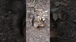 Животные такие милые 😊