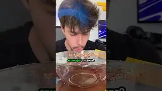 Descobri se Você Pode Ver os Sons 👀👂
