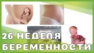 26 weeks pregnant: changes in mother and baby, discharge, sensations, sex, recommendations