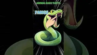 Learn Animal Body Parts Names in English