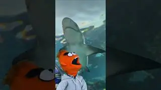 SHARK ATTACK!!!? 🦈 #kidsvideo #shark #aquarium