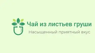 чай из листьев груши