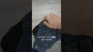 Джинсы без построения для собак. Штаны для собак. Полное видео пошива у меня на канале.