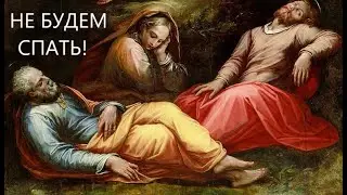 ВЫ ВСЁ ЕЩЁ СПИТЕ и ПОЧИВАЕТЕ?  КОНЧЕНО, ПРИШЁЛ ЧАС!