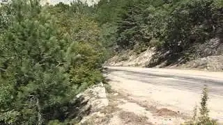 Yalta Rally 2012